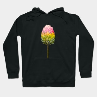 Colorful artichoke flower Hoodie